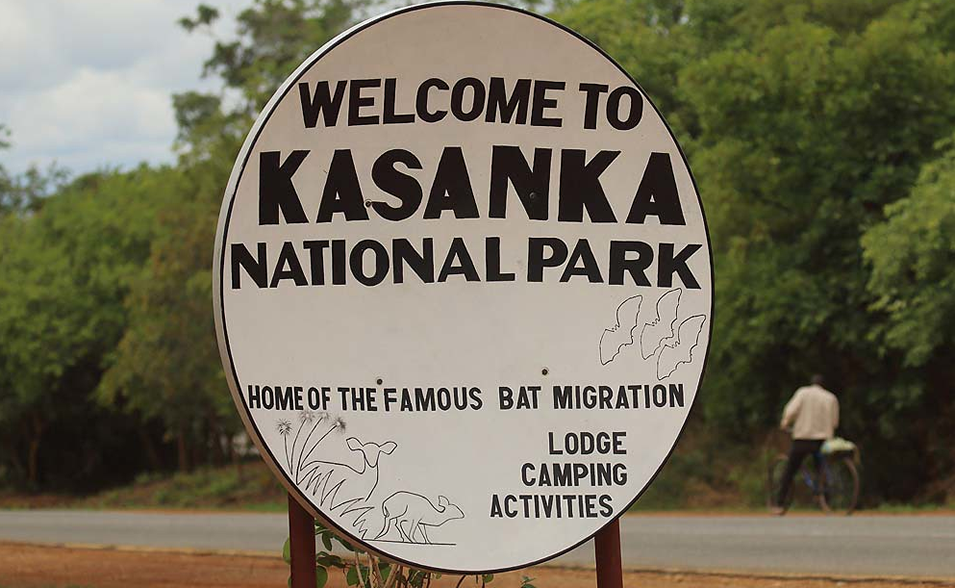 Kasanka National Park Zambia 4x4 Car hire